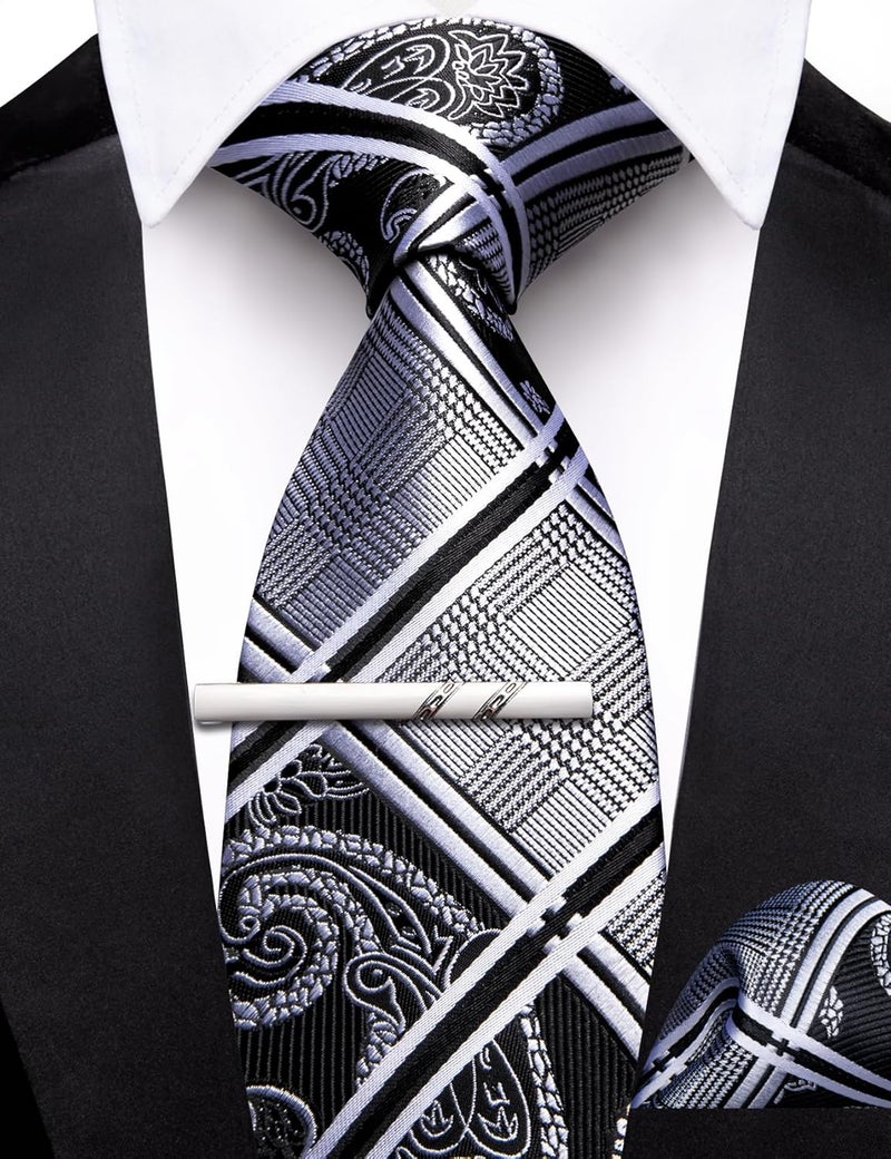 Barry.Wang Store Boys Ties School Pre-Tied Kids Necktie Handkerchief Clip Set Uniforms Child Ties for 8-14 Years Wedding Party - Image 4